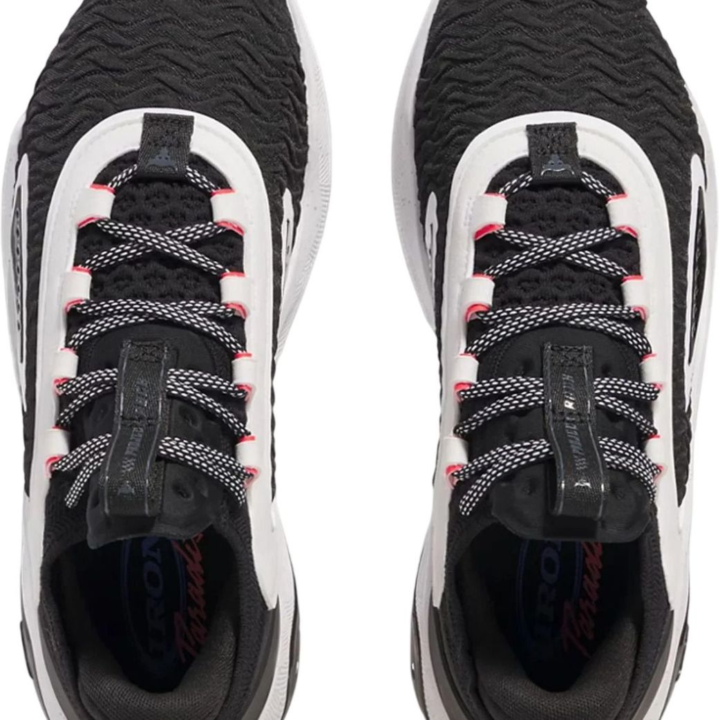 Кроссовки Under Armour UA Project Rock 7 3027600-004