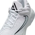 Кроссовки Nike GIANNIS IMMORTALITY 4 FQ3680-100  4US