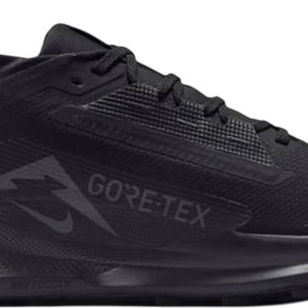 Кроссовки Nike REACTX PEGASUS TRAIL 5 GTX FQ0908-002