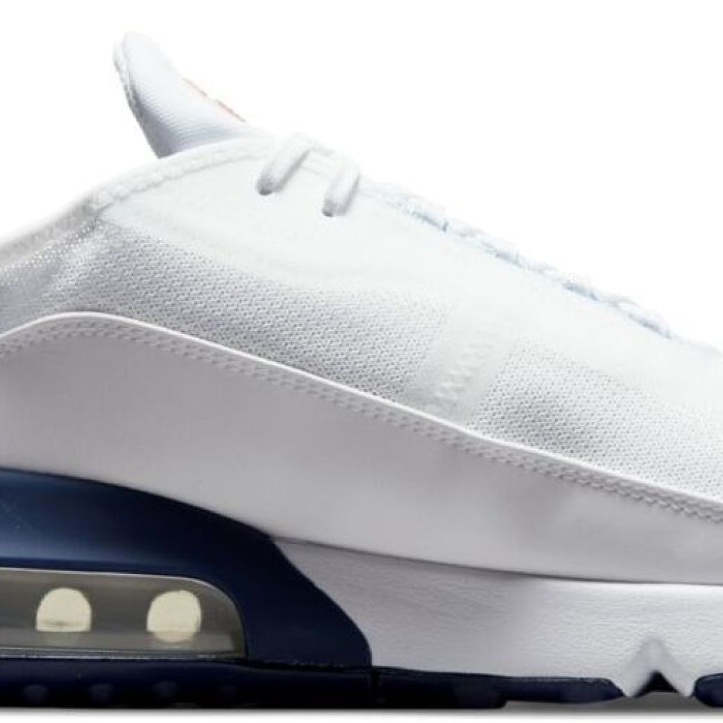 Кроссовки Nike AIR MAX 2090 DM2823-100 10US