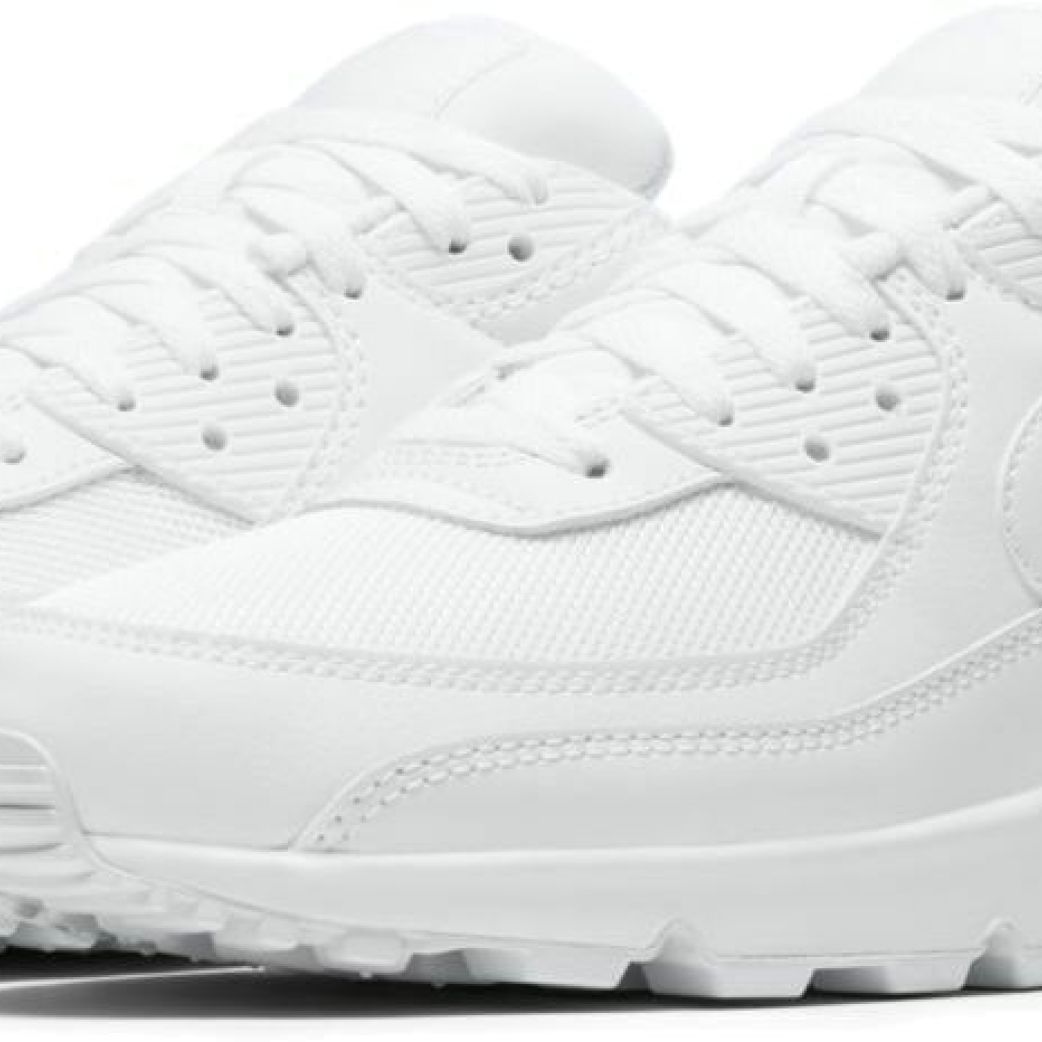 Кроссовки Nike AIR MAX 90 365 CN8490-100