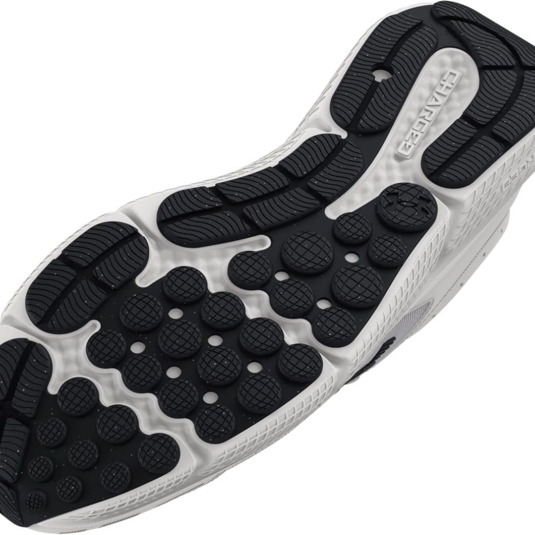 Кроссовки Under Armour UA Charged Assert 10 3026175-104