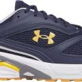 Кроссовки Under Armour UA HOVR Apparition RTRFTR TC 3027595-410