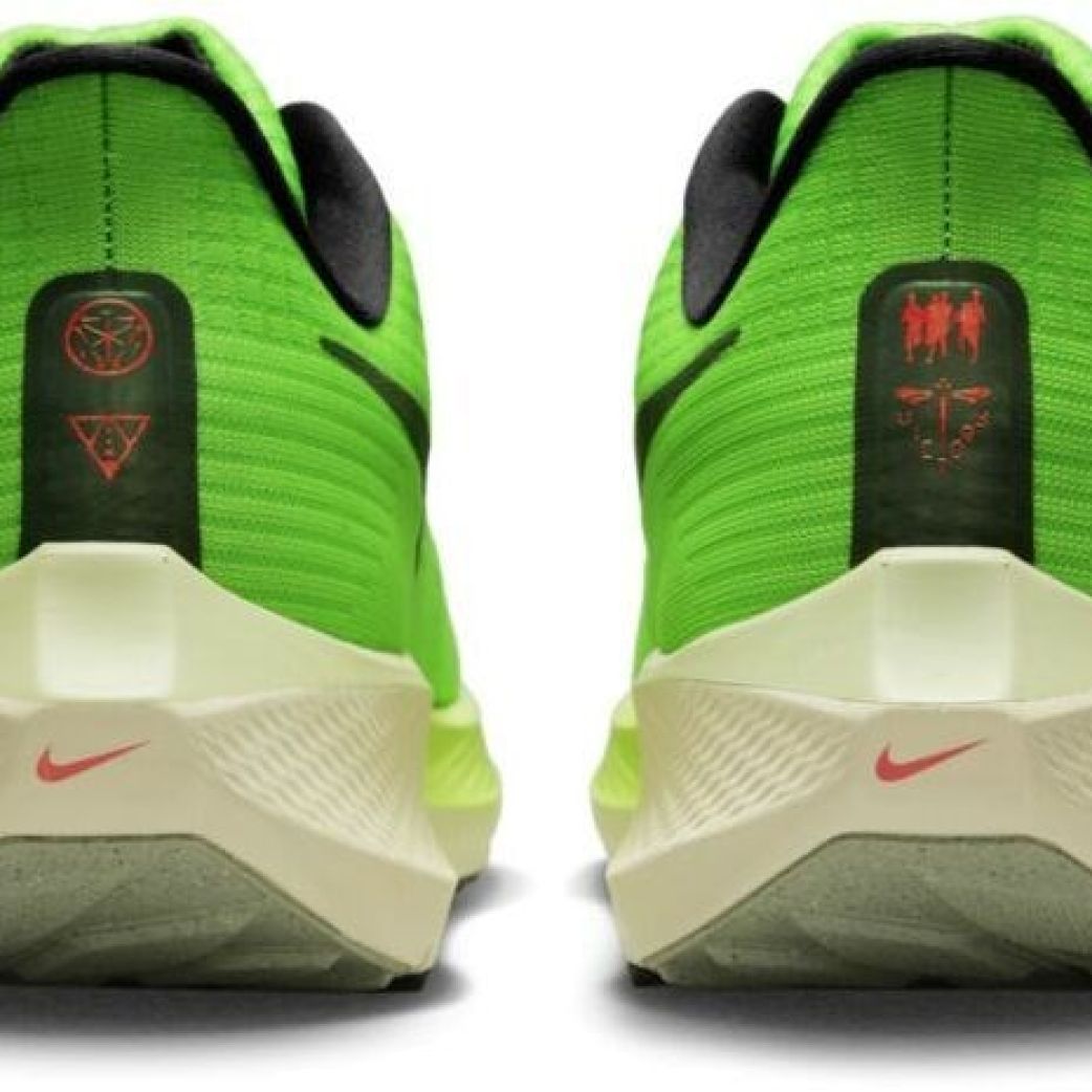 Кроссовки Nike AIR ZOOM PEGASUS 39 DZ4776-343 11US