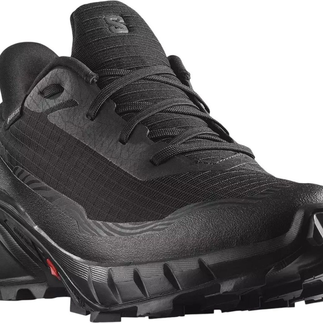 Ботинки Salomon ALPHACROSS 5 GTX W L47310900
