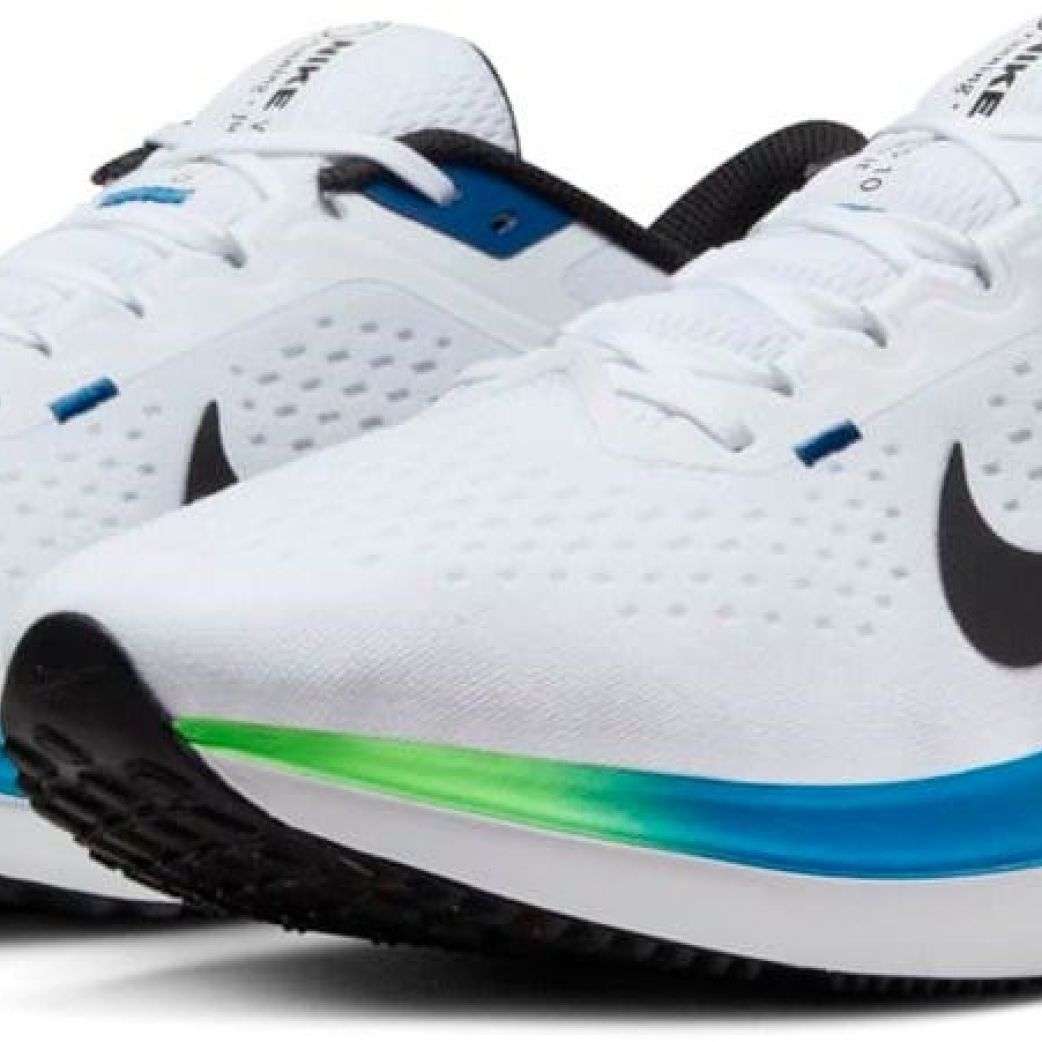 Кроссовки Nike AIR WINFLO 10 DV4022-400 8.5US