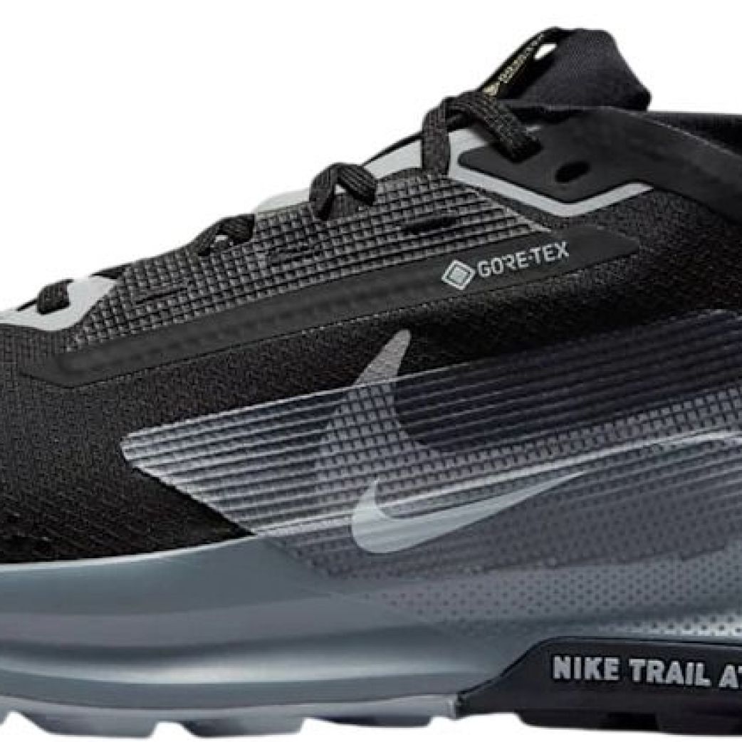 Кроссовки Nike REACTX PEGASUS TRAIL 5 GTX FQ0908-001