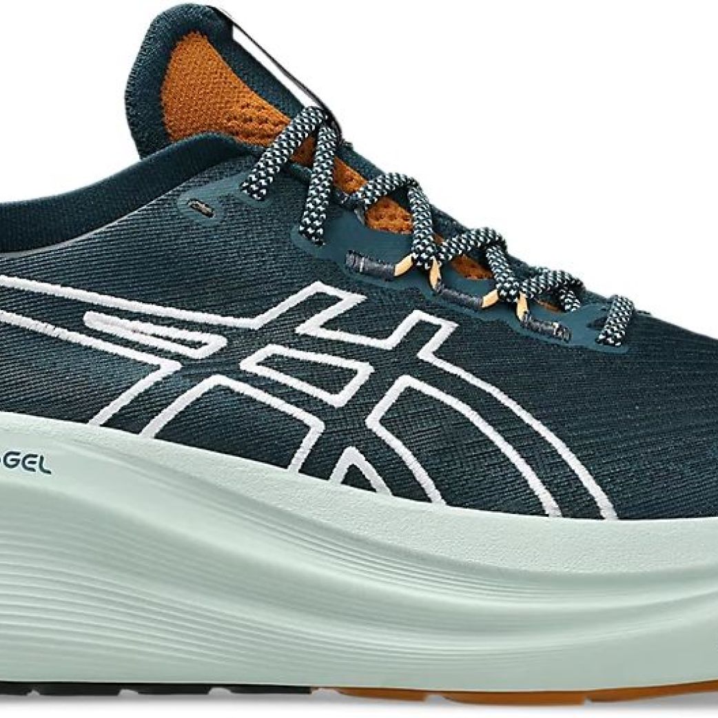 Кроссовки Asics GEL-NIMBUS 27 TR 1011C136-300