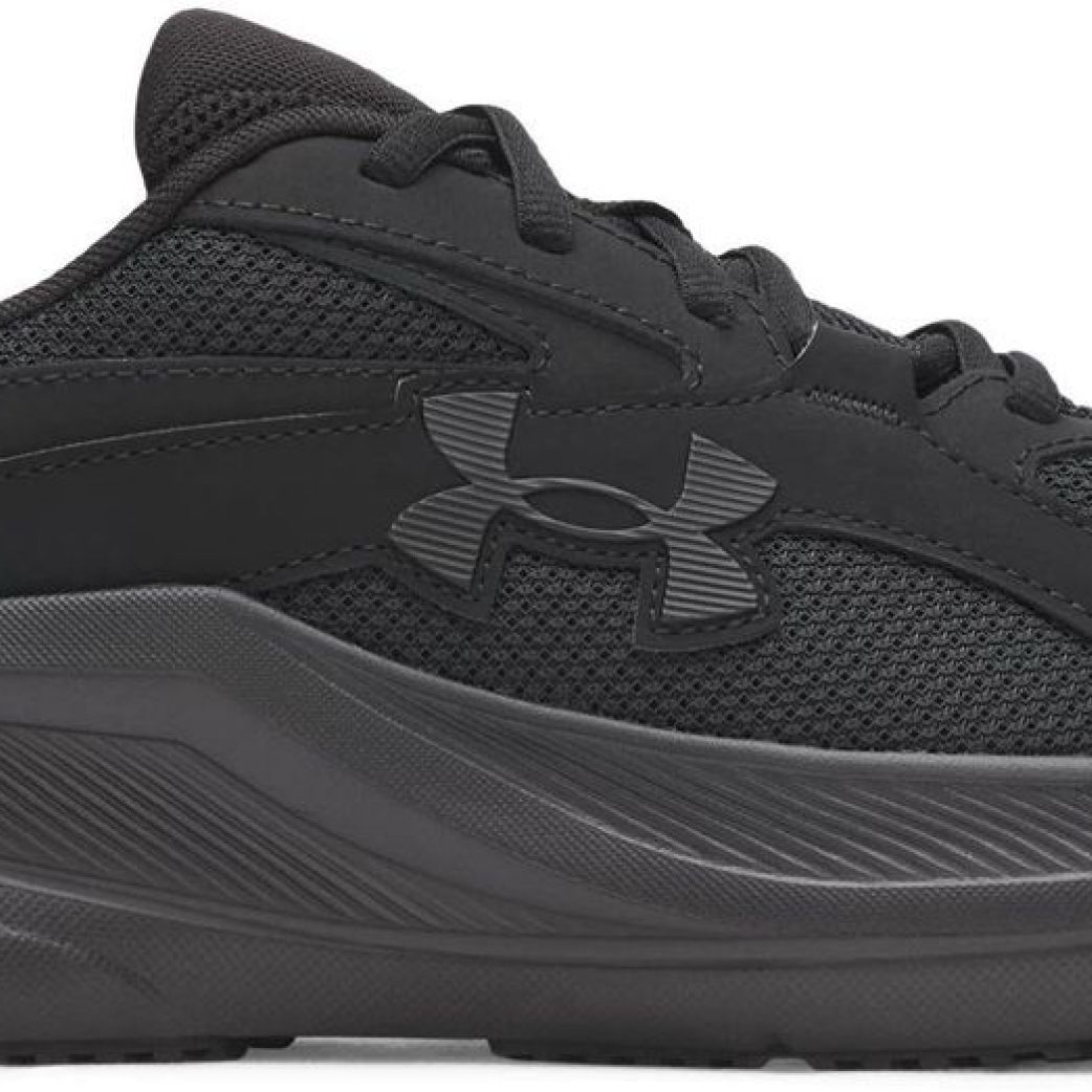 Кроссовки Under Armour UA Assert 11 6006723-002