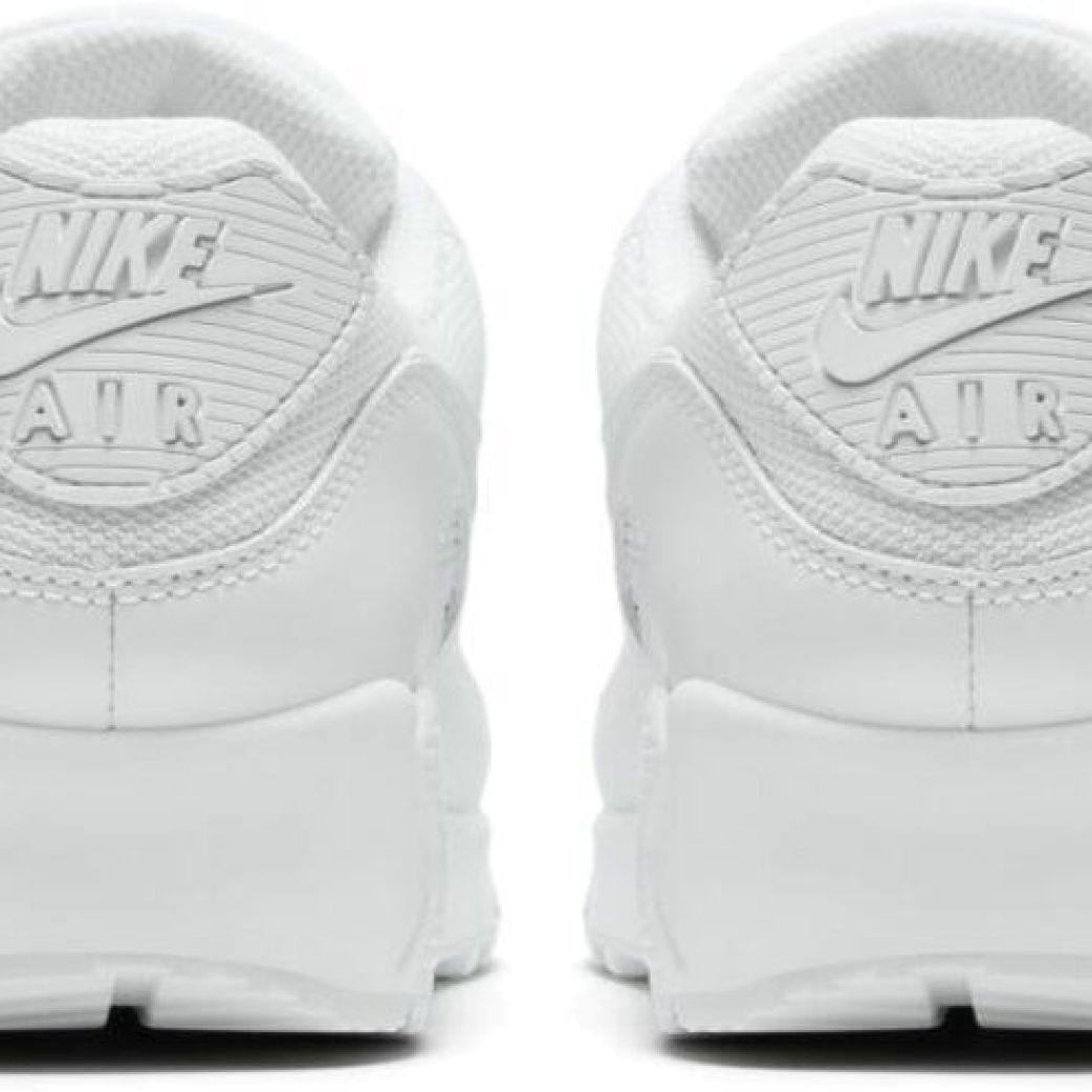 Кроссовки Nike AIR MAX 90 365 CN8490-100