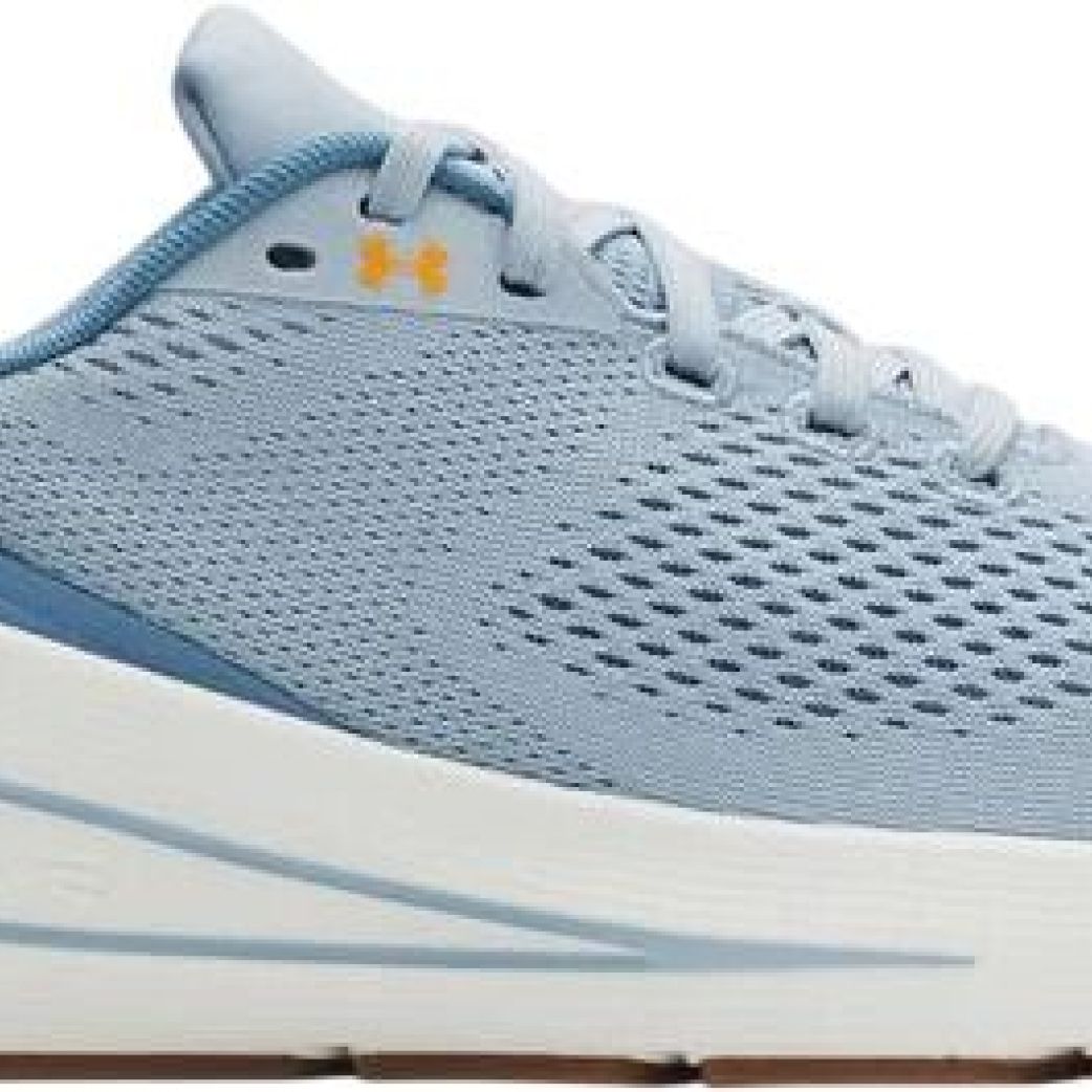 Кроссовки Under Armour UA W Sonic 7 3028003-453