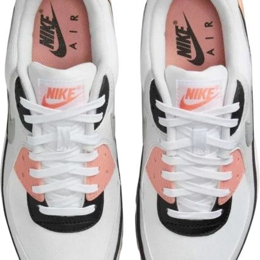 Кроссовки Nike Air Max 90 DH8010-109