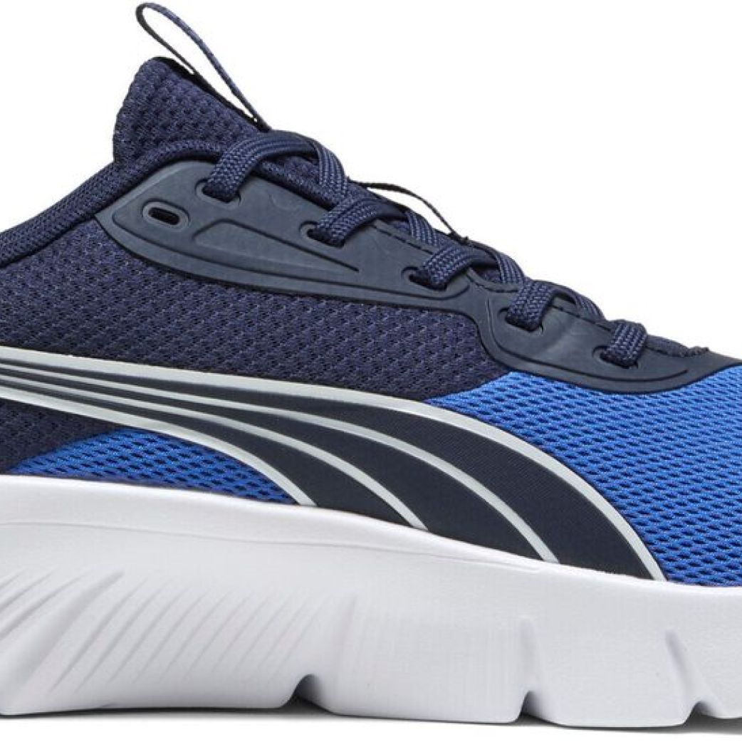 Кроссовки Puma FlexFocus Lite Modern 31009313